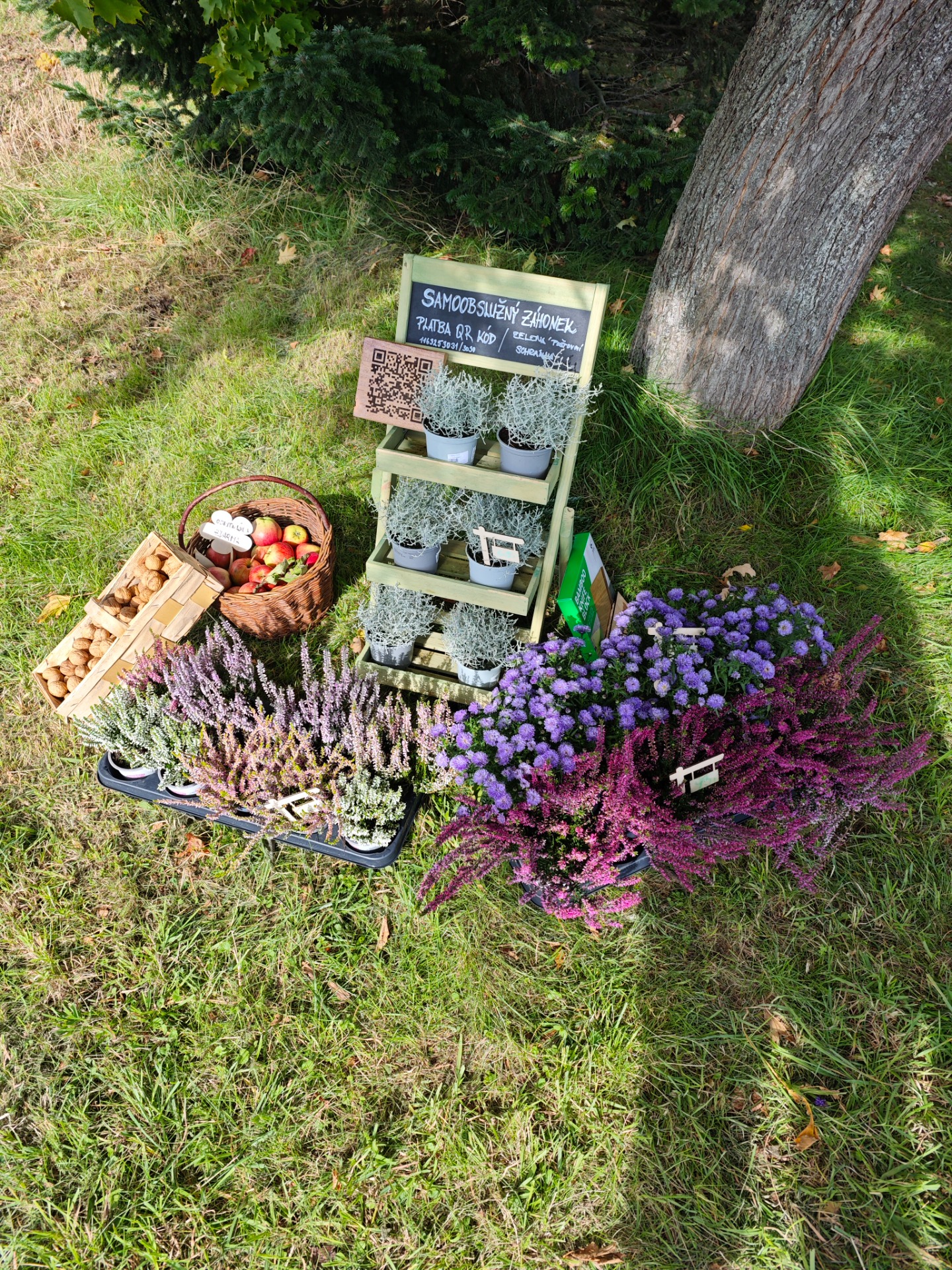 SAMOOBSLUŽNÝ ZÁHONEK - Černovičky 305